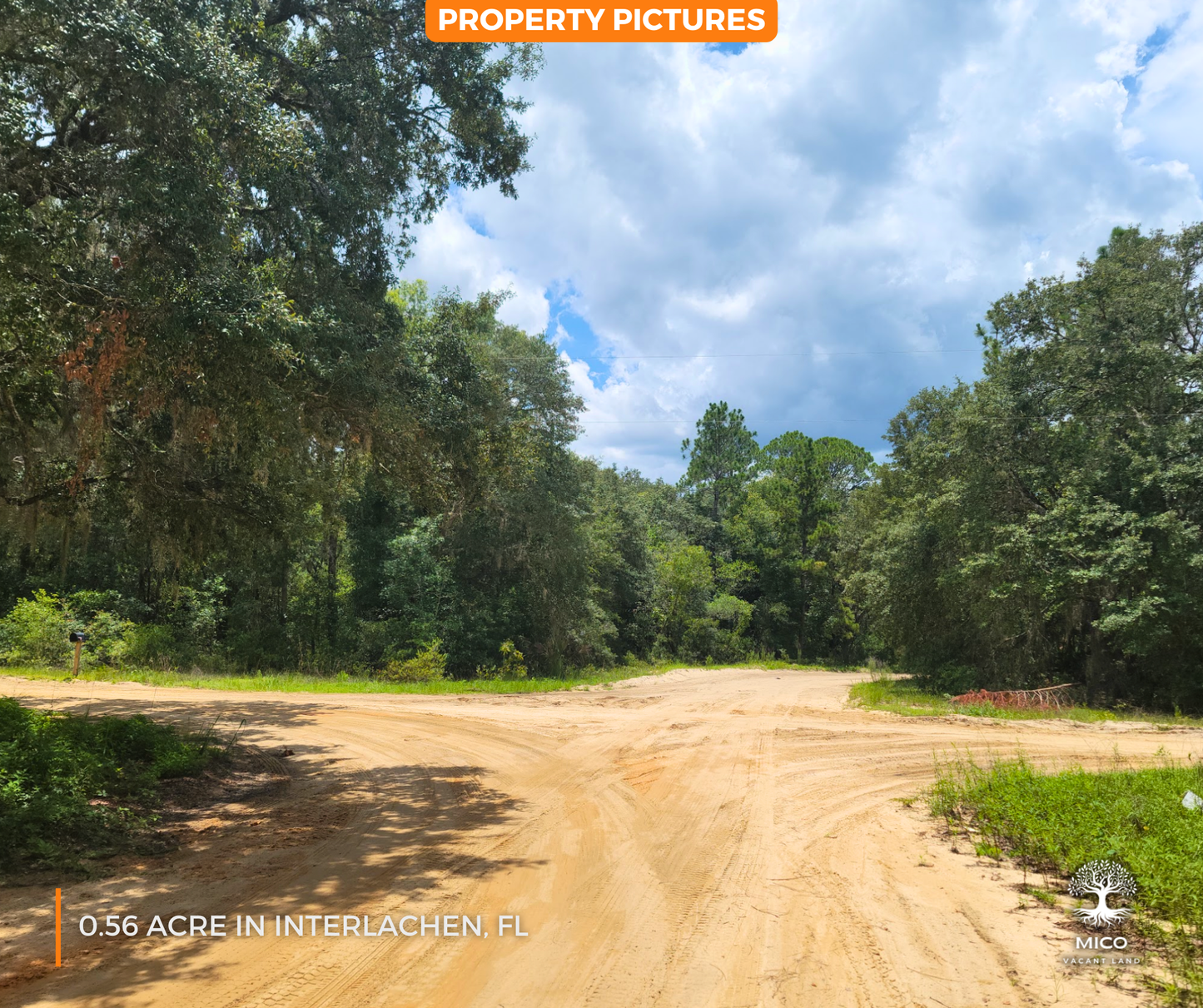 0.56 Acre Land in Interlachen, FL - Excellent Location for Your New Home