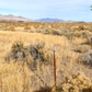 40 Acre Property for Sale in Winnemucca, NV!