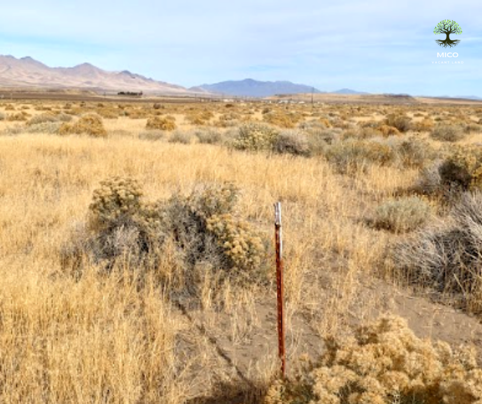 40 Acre Property for Sale in Winnemucca, NV!