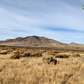 40 Acre Property for Sale in Winnemucca, NV!