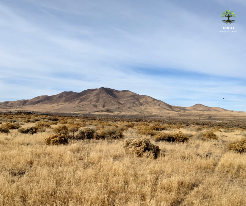 40 Acre Property for Sale in Winnemucca, NV!