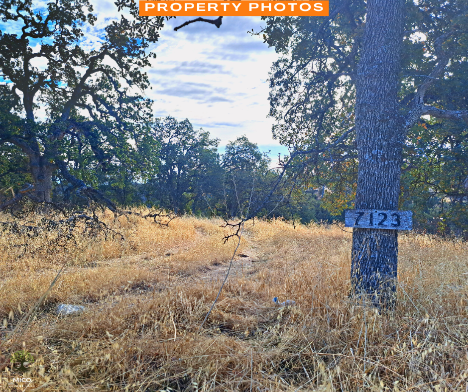 Incredible 1.01 Acre Vacant Land in Tehama County