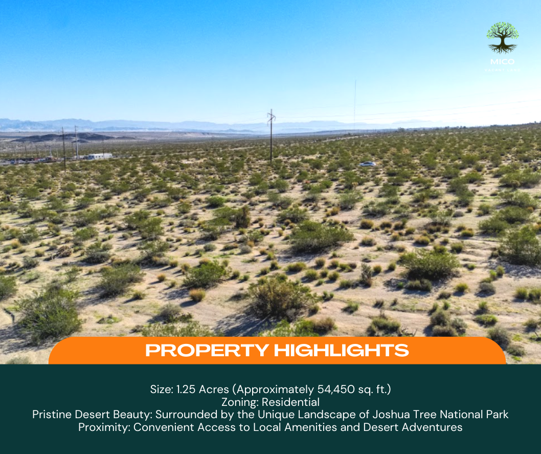 Invest in Your Future: 1.25-acre Vacant Land in 29 Palms, CA for Sale!