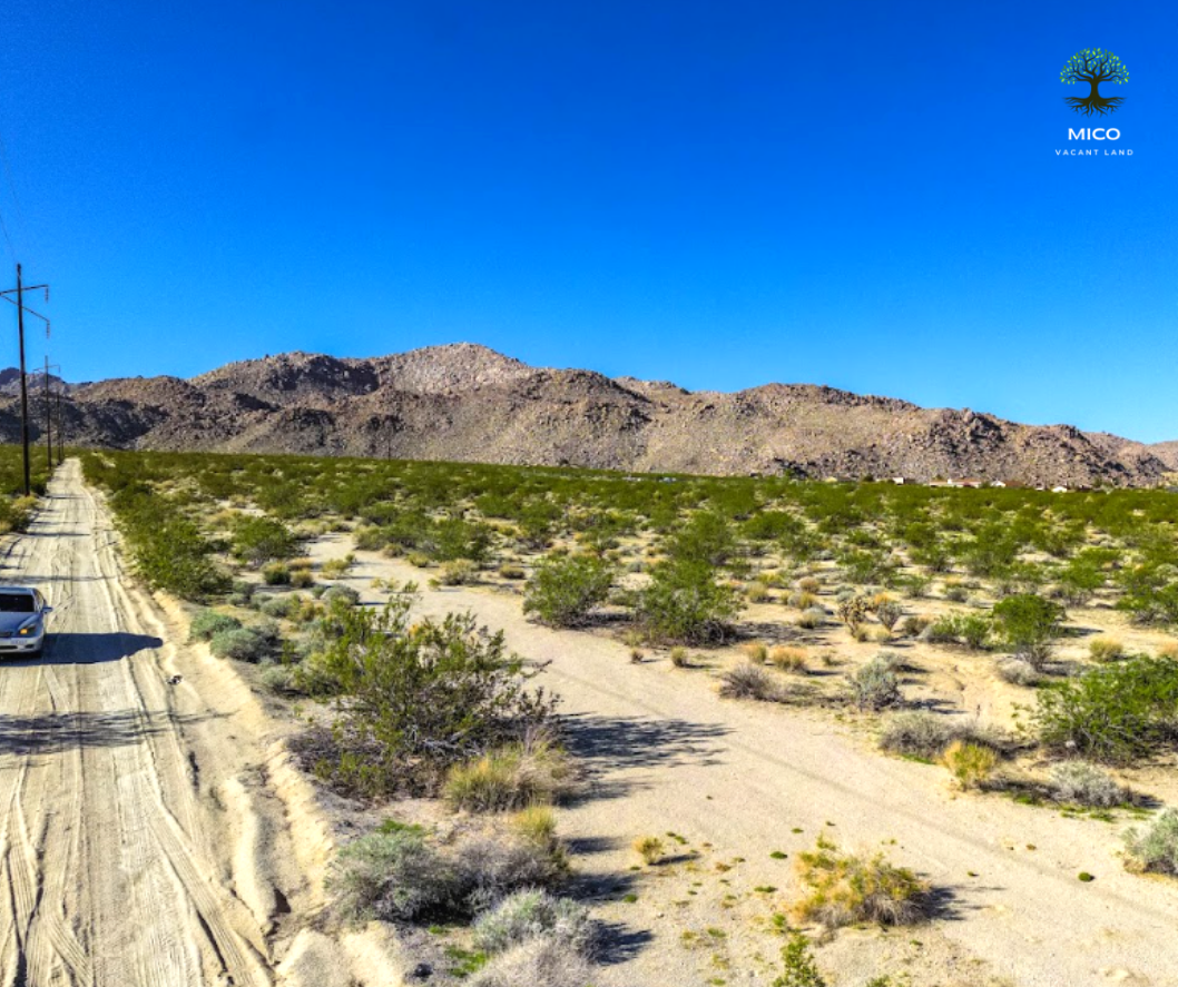 Invest in Your Future: 1.25-acre Vacant Land in 29 Palms, CA for Sale!