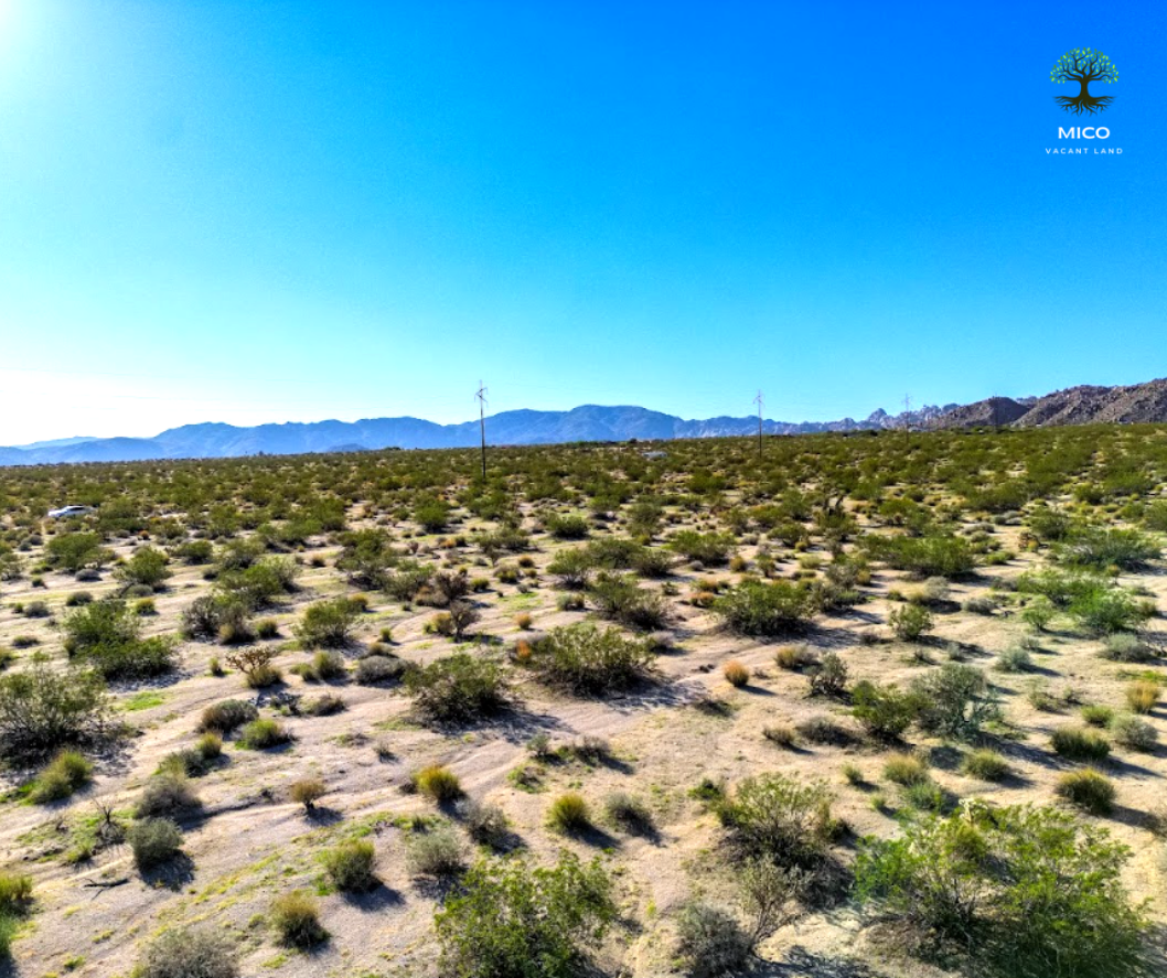 Invest in Your Future: 1.25-acre Vacant Land in 29 Palms, CA for Sale!