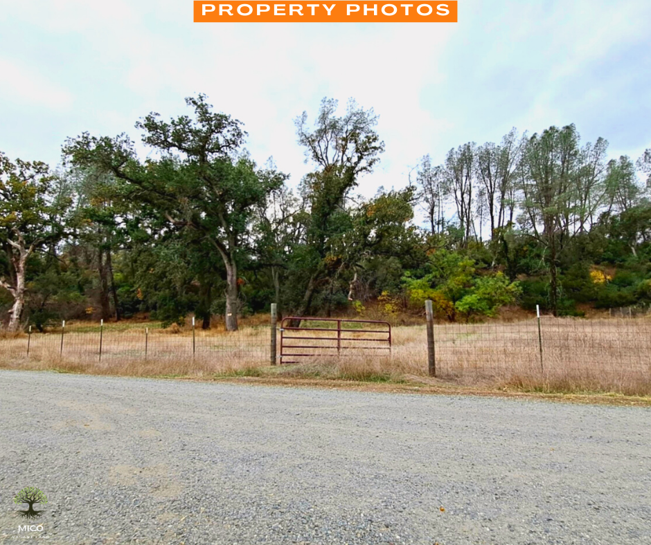 Discover the Beauty of Tehama: 1 Acre of Pristine Land in Tehama County, California!