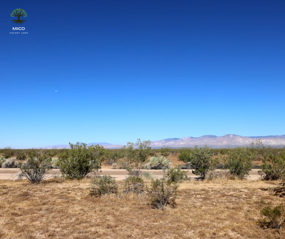 Amazing Vacant Residential Land for Sale in California City, CA!