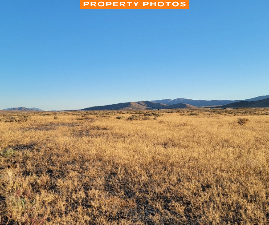 An Amazing 0.4 Acre Property in Golconda, Nevada!