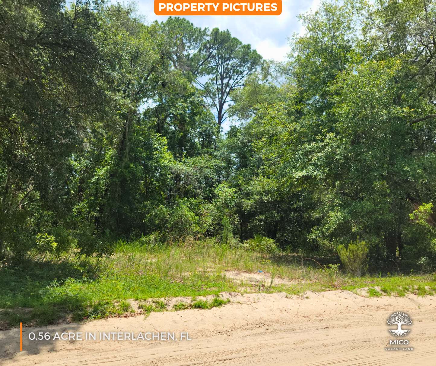 0.56 Acre Land in Interlachen, FL - Excellent Location for Your New Home