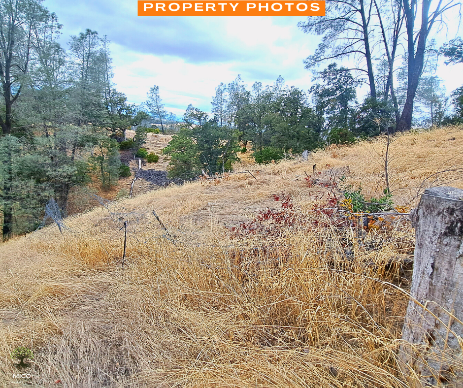 4.09 Acres Land For Sale in Tehama County