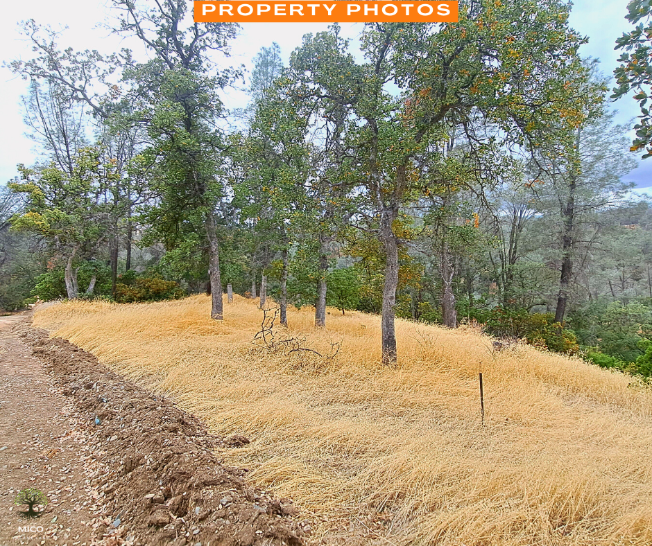 4.09 Acres Land For Sale in Tehama County