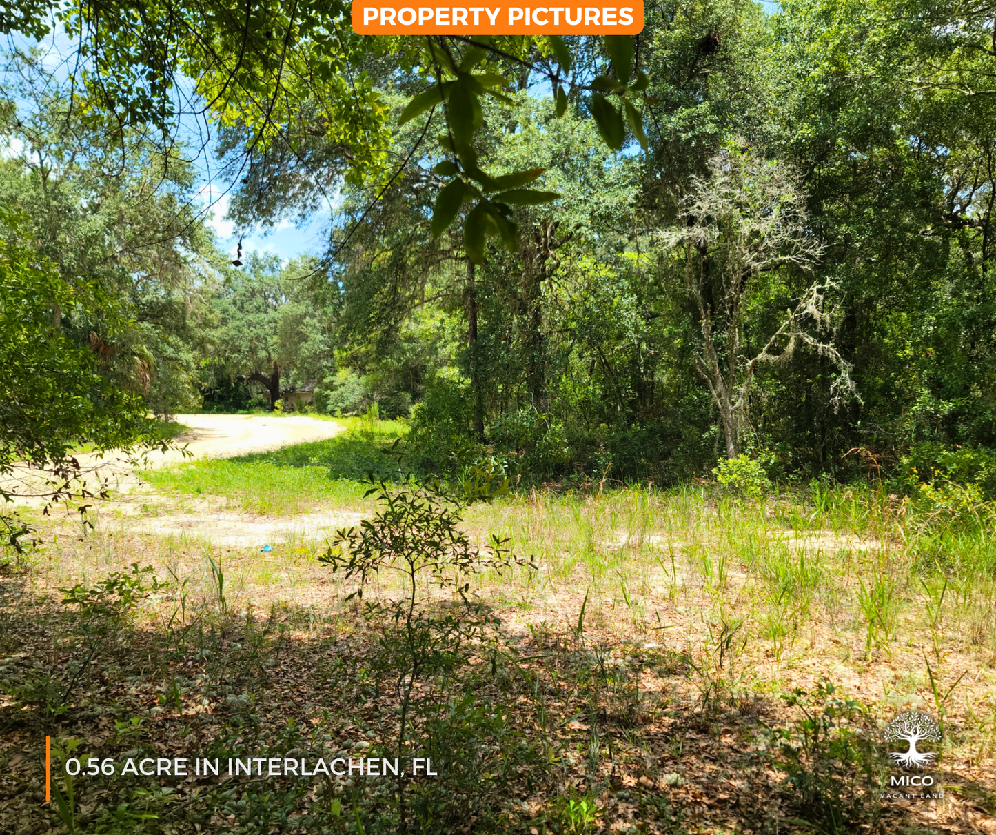 0.56 Acre Land in Interlachen, FL - Excellent Location for Your New Home