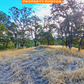 Incredible 1.01 Acre Vacant Land in Tehama County