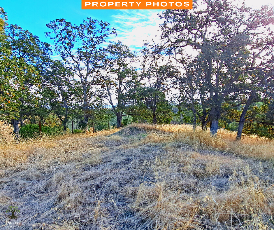 Incredible 1.01 Acre Vacant Land in Tehama County