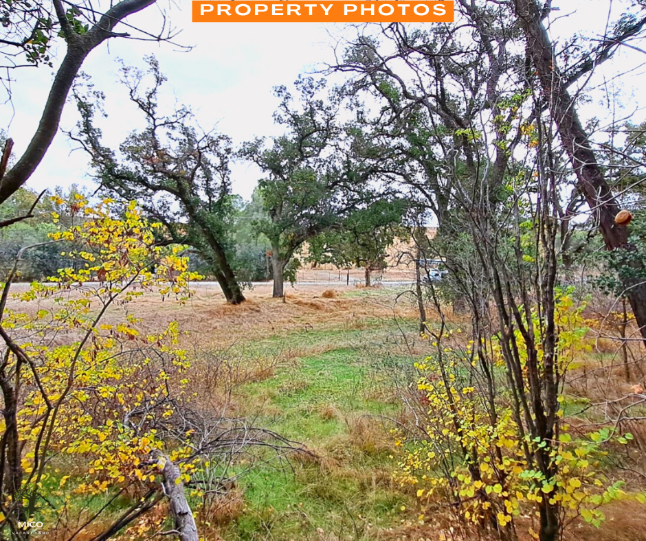 Discover the Beauty of Tehama: 1 Acre of Pristine Land in Tehama County, California!