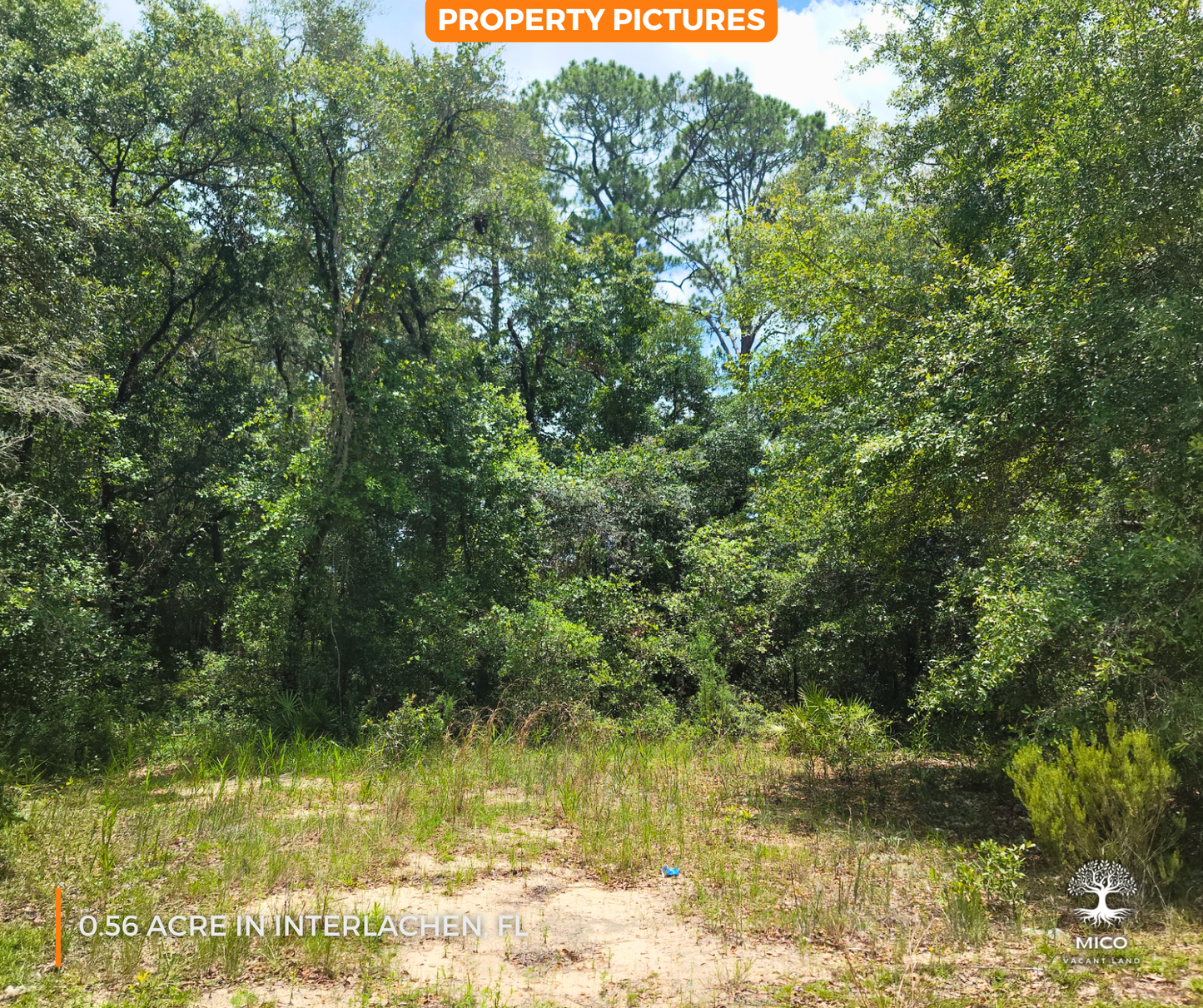 0.56 Acre Land in Interlachen, FL - Excellent Location for Your New Home