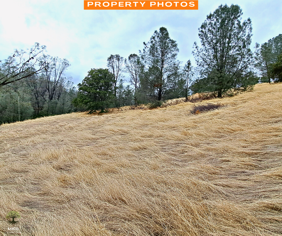 Invest Now: 2.83 Vacant Land in Tehama County