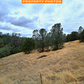 Invest Now: 2.83 Vacant Land in Tehama County