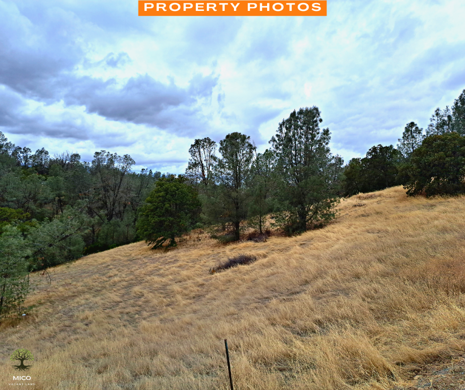 Invest Now: 2.83 Vacant Land in Tehama County