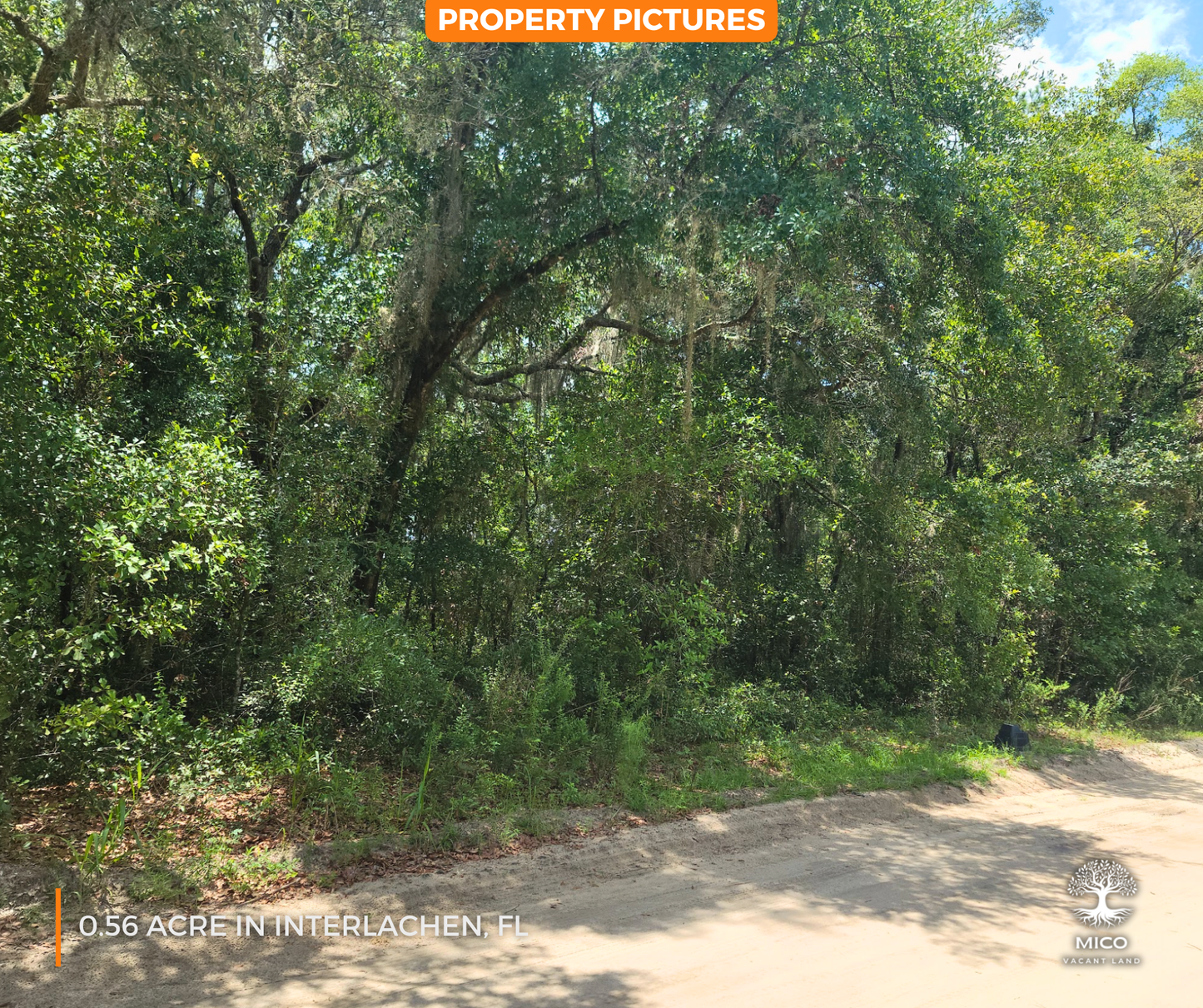 0.56 Acre Land in Interlachen, FL - Excellent Location for Your New Home