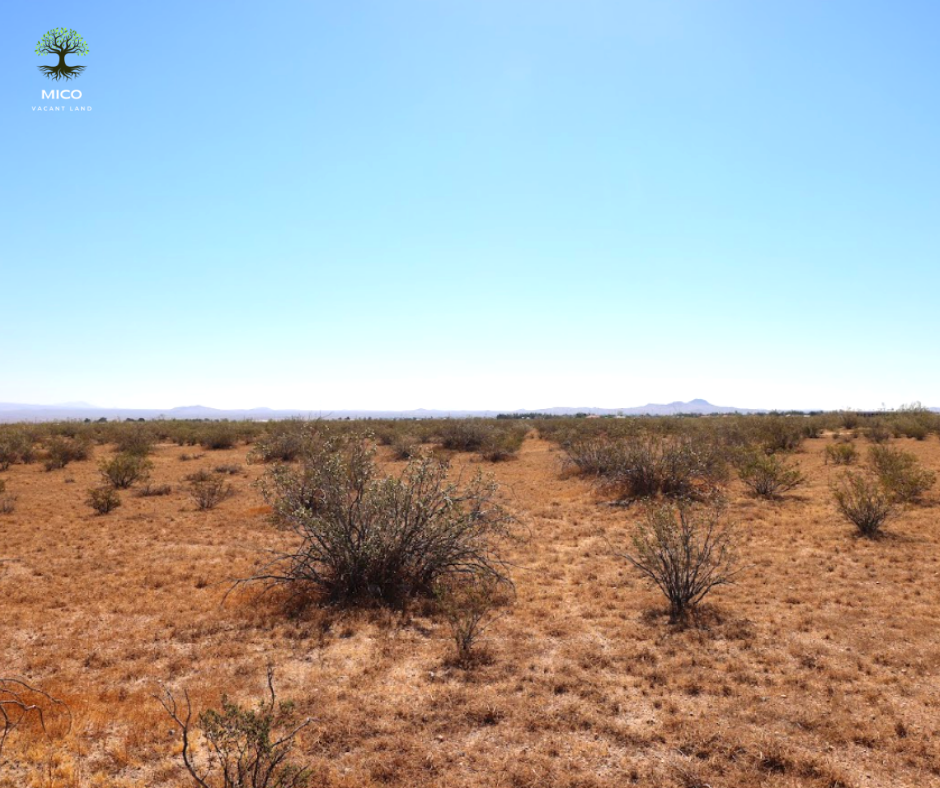 Amazing Vacant Residential Land for Sale in California City, CA!