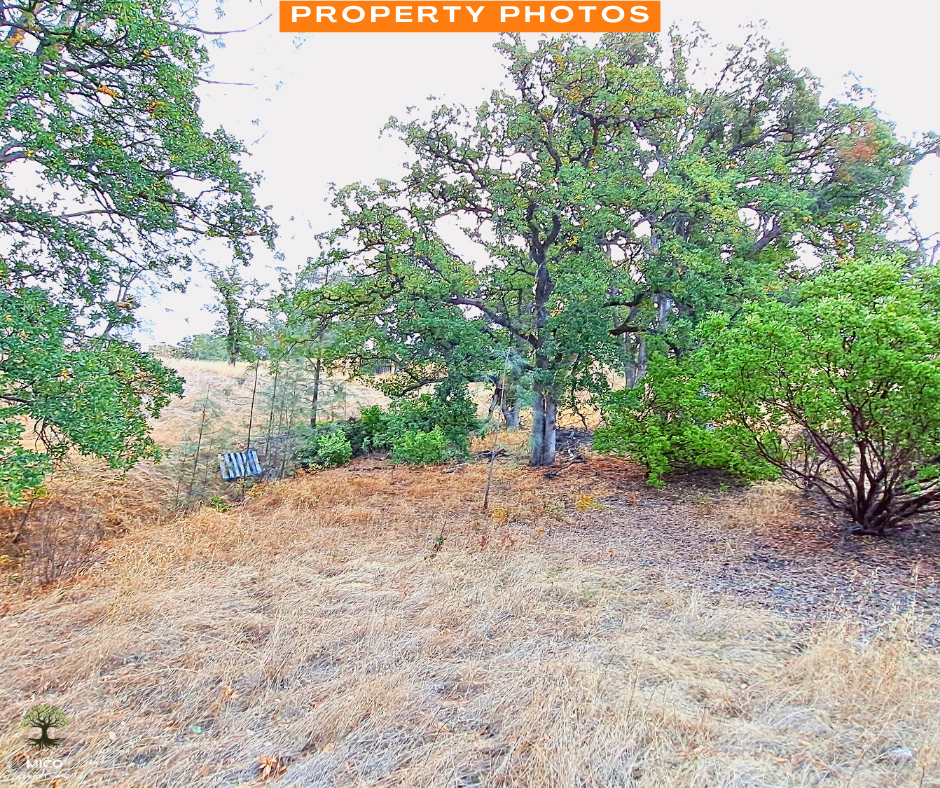 Amazing 1.26 Acres of Land for Sale in Tehama County