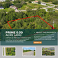 Prime 0.30 Acre Lot in Lehigh Acres, Florida