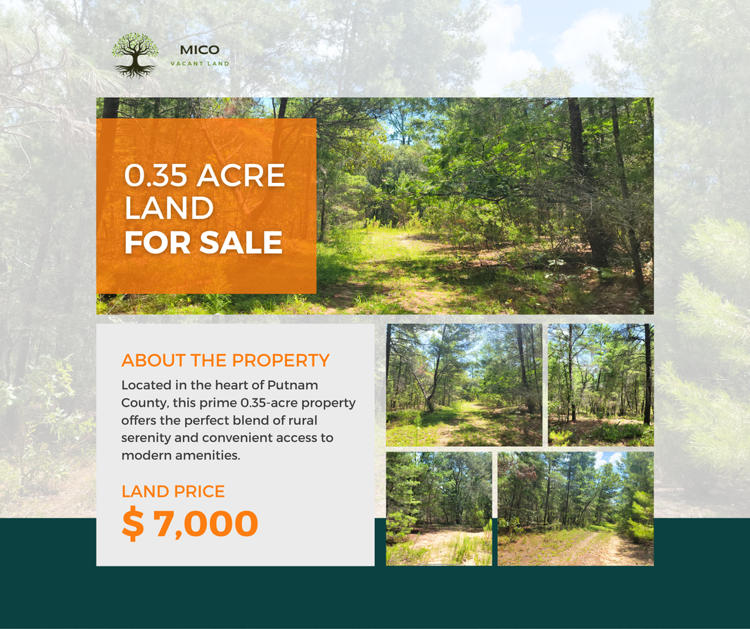 Land For Sale MICO VACANT LAND