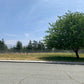 Rare 0.36 Acre Available in Banning, CA