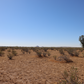 Amazing Vacant Residential Land for Sale in California City, CA!