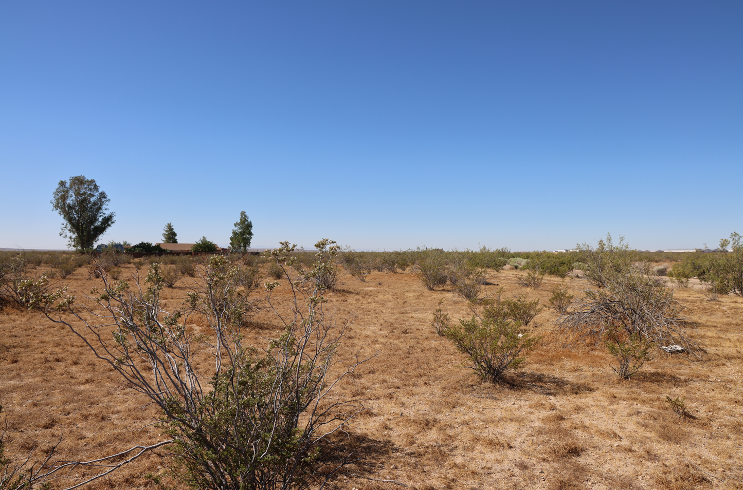 Amazing Vacant Residential Land for Sale in California City, CA!