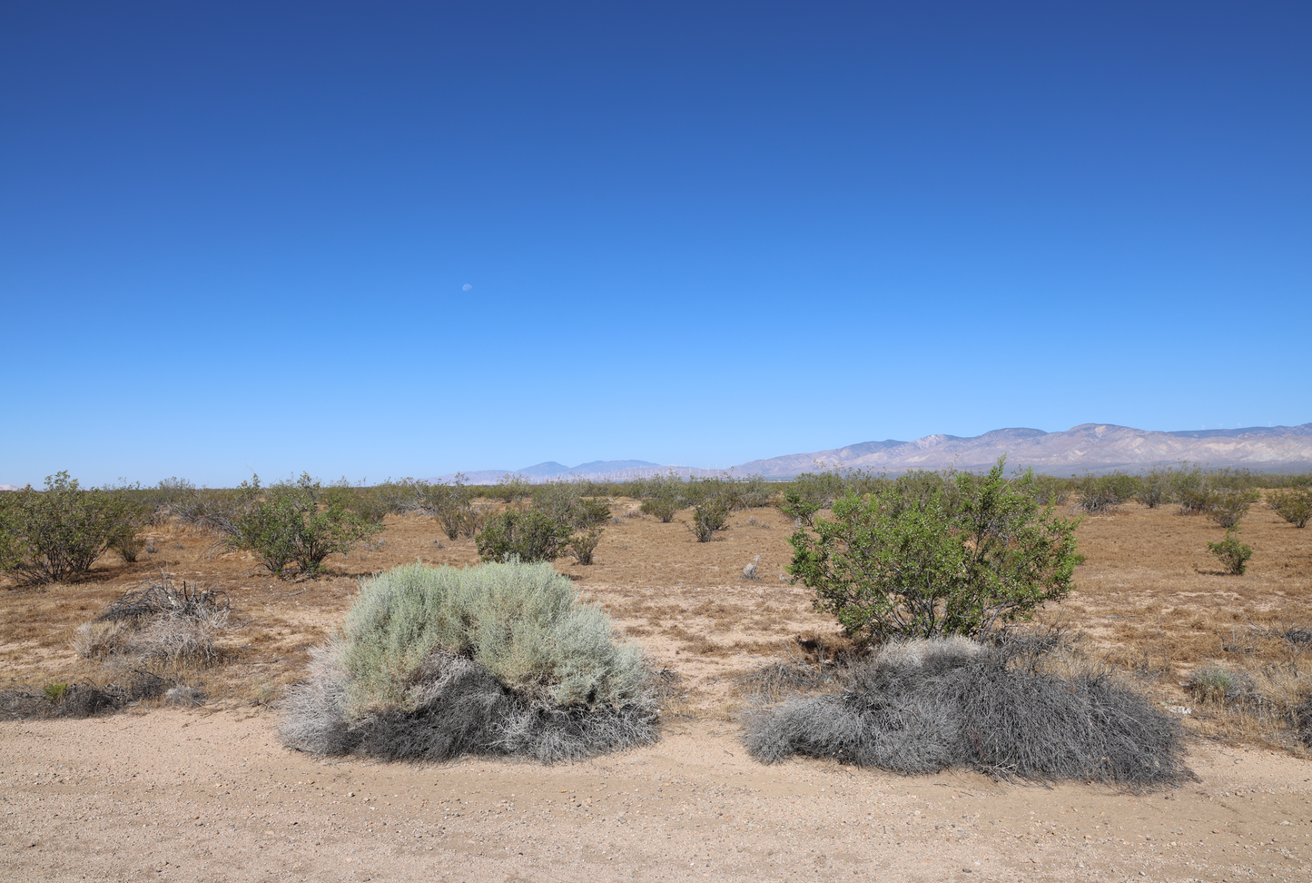 Amazing Vacant Residential Land for Sale in California City, CA!