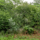 Incredible 0.64 Acre Residential Vacant Land For Sale