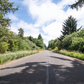 1.3 Acres of Vacant Residential Land for Sale in Long Beach, Washington!