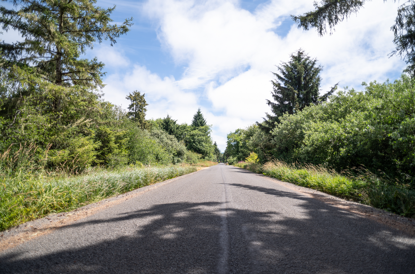 1.3 Acres of Vacant Residential Land for Sale in Long Beach, Washington!