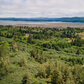 1.3 Acres of Vacant Residential Land for Sale in Long Beach, Washington!