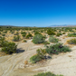 Incredible 1.53-acre Vacant Land in Joshua Tree, CA for Sale!