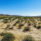 Incredible 1.53-acre Vacant Land in Joshua Tree, CA for Sale!