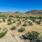 Incredible 1.53-acre Vacant Land in Joshua Tree, CA for Sale!