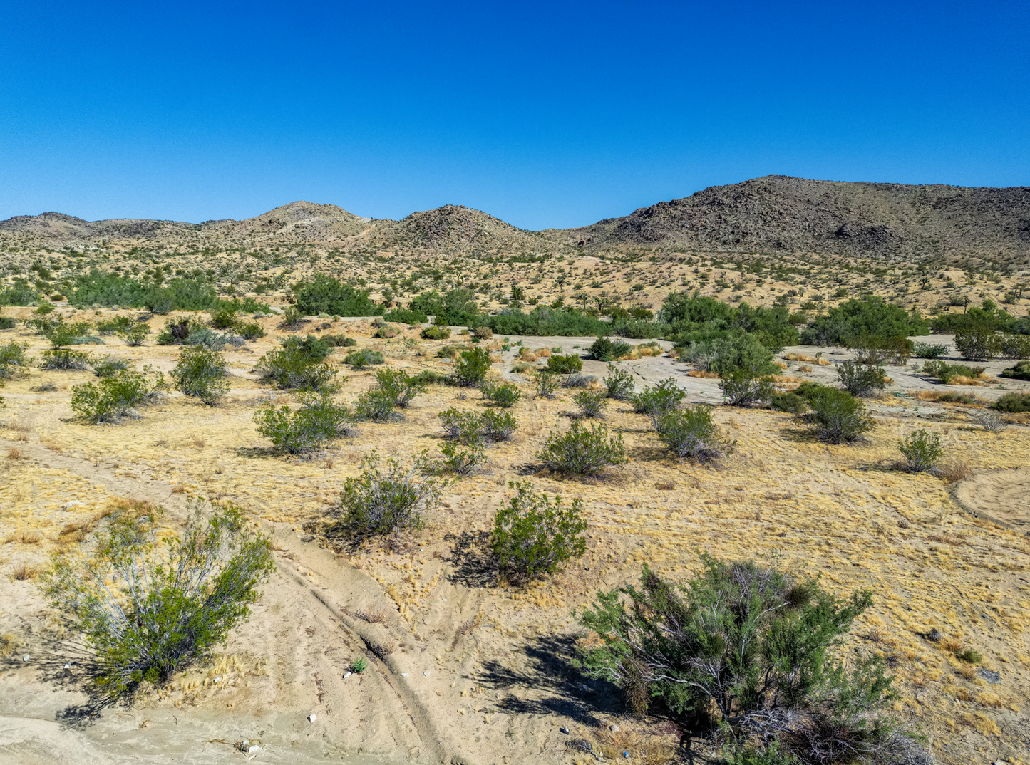 Incredible 1.53-acre Vacant Land in Joshua Tree, CA for Sale!