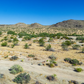 Incredible 1.53-acre Vacant Land in Joshua Tree, CA for Sale!