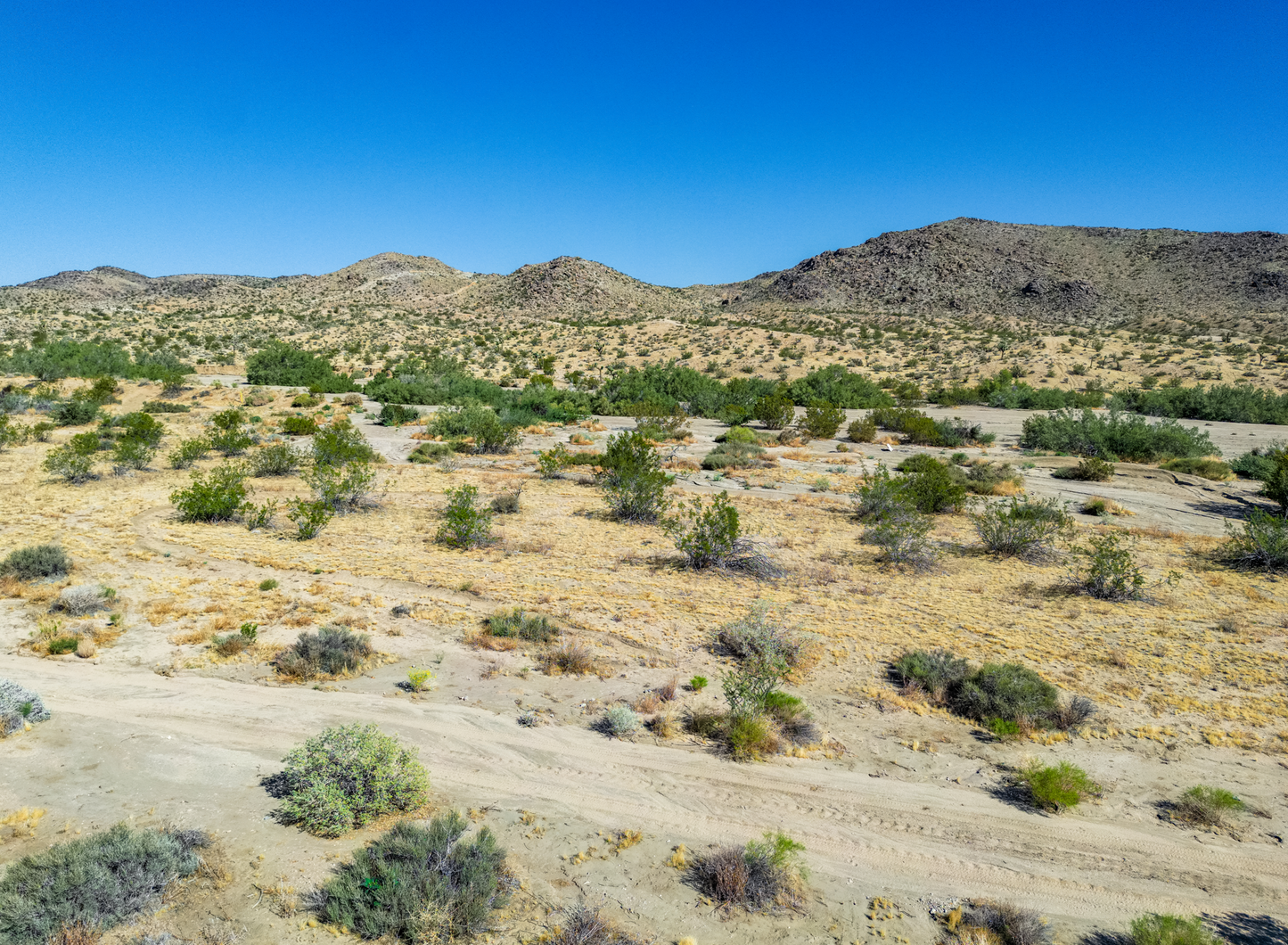 Incredible 1.53-acre Vacant Land in Joshua Tree, CA for Sale!