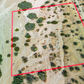 Incredible 1.53-acre Vacant Land in Joshua Tree, CA for Sale!