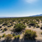 Prime Location 1.25-acre Vacant Land for Sale!