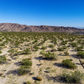 Invest in Your Future: 1.25-acre Vacant Land in 29 Palms, CA for Sale!