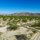 Invest in Your Future: 1.25-acre Vacant Land in 29 Palms, CA for Sale!