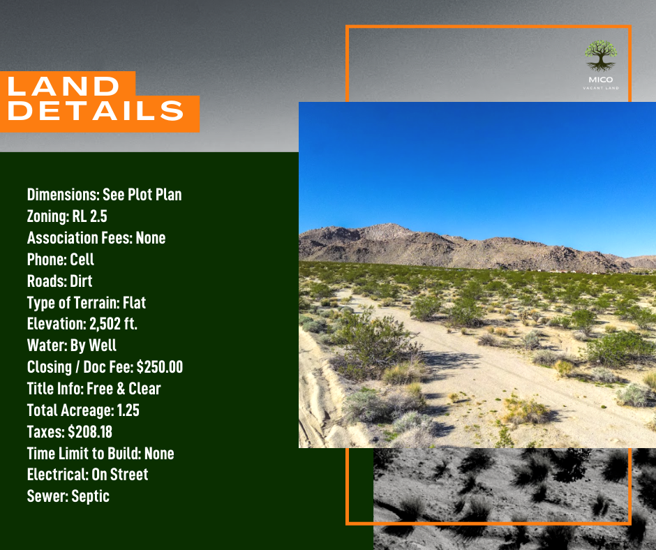 Invest in Your Future: 1.25-acre Vacant Land in 29 Palms, CA for Sale!