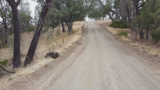 4.09 Acres Land For Sale in Tehama County