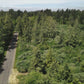 1.3 Acres of Vacant Residential Land for Sale in Long Beach, Washington!