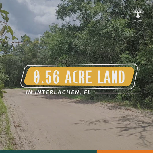 0.56 Acre Land in Interlachen, FL - Excellent Location for Your New Home